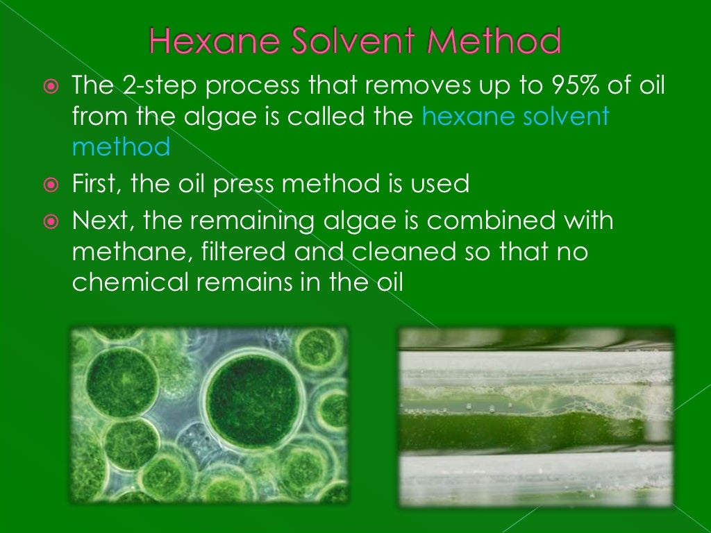 How algae fuel works