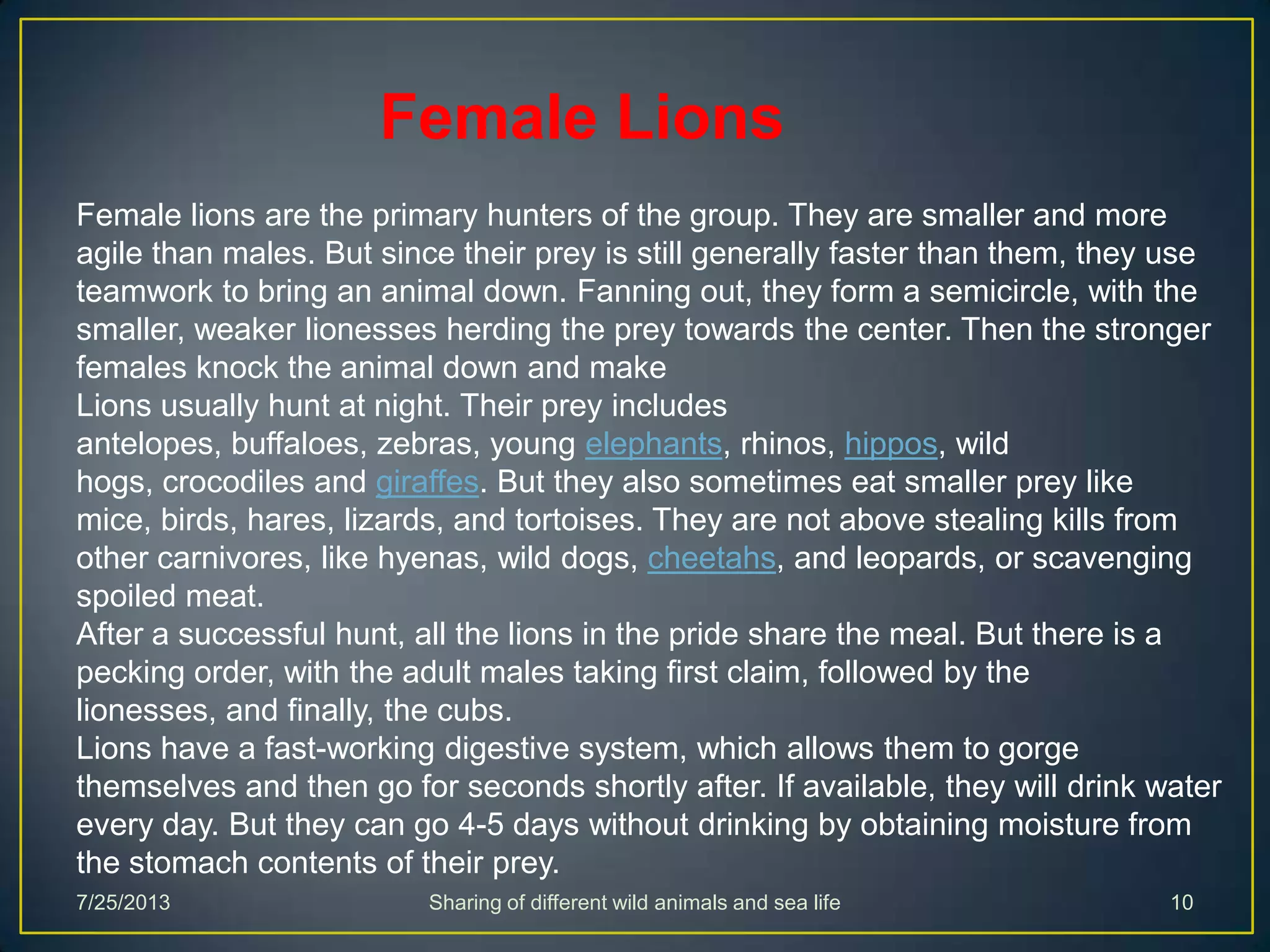 Female lions are the primary hunters of the group. They are smaller and more
agile than males. But since their prey is still generally faster than them, they use
teamwork to bring an animal down. Fanning out, they form a semicircle, with the
smaller, weaker lionesses herding the prey towards the center. Then the stronger
females knock the animal down and make
Lions usually hunt at night. Their prey includes
antelopes, buffaloes, zebras, young elephants, rhinos, hippos, wild
hogs, crocodiles and giraffes. But they also sometimes eat smaller prey like
mice, birds, hares, lizards, and tortoises. They are not above stealing kills from
other carnivores, like hyenas, wild dogs, cheetahs, and leopards, or scavenging
spoiled meat.
After a successful hunt, all the lions in the pride share the meal. But there is a
pecking order, with the adult males taking first claim, followed by the
lionesses, and finally, the cubs.
Lions have a fast-working digestive system, which allows them to gorge
themselves and then go for seconds shortly after. If available, they will drink water
every day. But they can go 4-5 days without drinking by obtaining moisture from
the stomach contents of their prey.
Female Lions
7/25/2013 Sharing of different wild animals and sea life 10
 