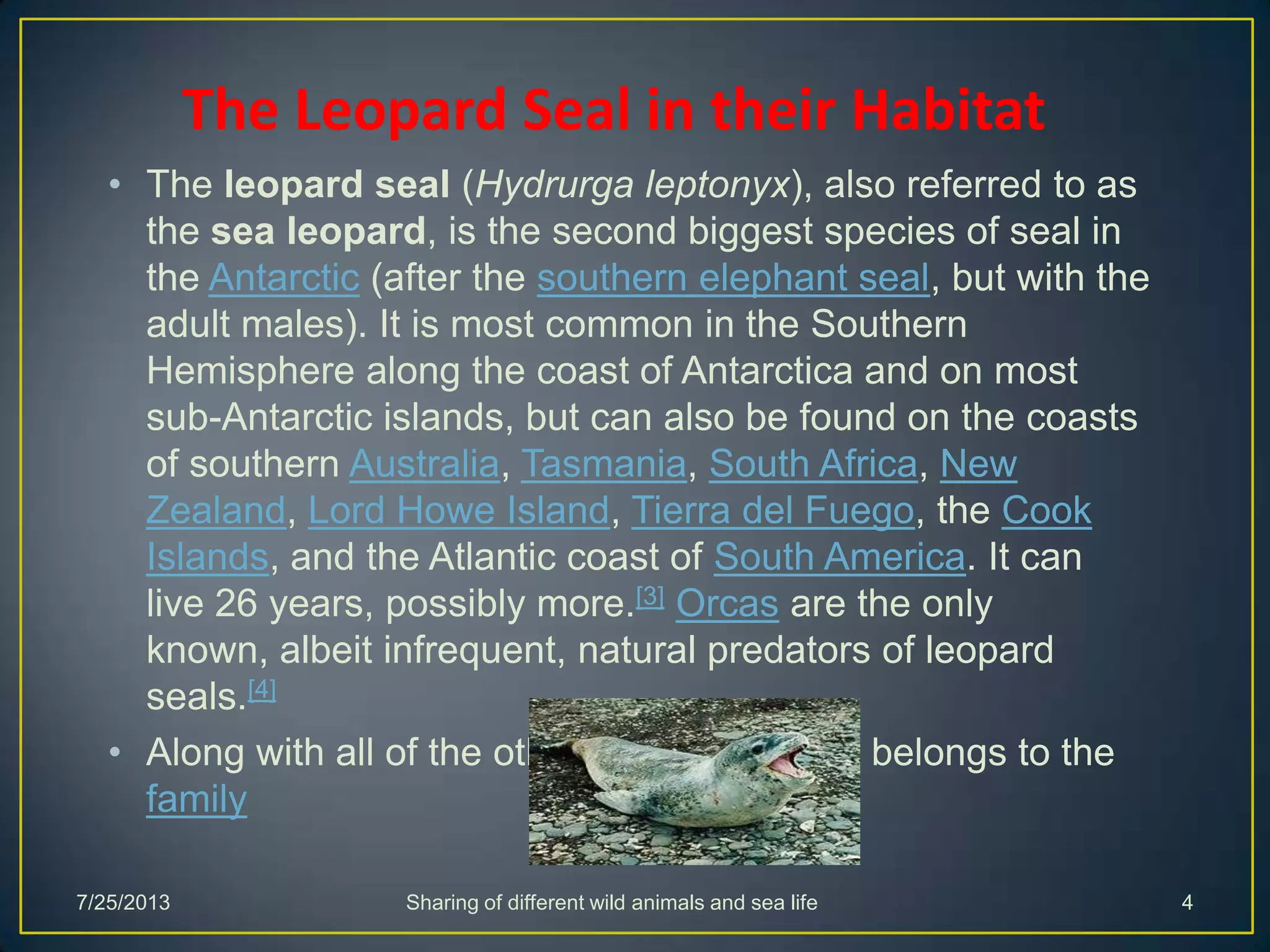 • The leopard seal (Hydrurga leptonyx), also referred to as
the sea leopard, is the second biggest species of seal in
the Antarctic (after the southern elephant seal, but with the
adult males). It is most common in the Southern
Hemisphere along the coast of Antarctica and on most
sub-Antarctic islands, but can also be found on the coasts
of southern Australia, Tasmania, South Africa, New
Zealand, Lord Howe Island, Tierra del Fuego, the Cook
Islands, and the Atlantic coast of South America. It can
live 26 years, possibly more.[3] Orcas are the only
known, albeit infrequent, natural predators of leopard
seals.[4]
• Along with all of the other earless seals, it belongs to the
family
The Leopard Seal in their Habitat
7/25/2013 Sharing of different wild animals and sea life 4
 