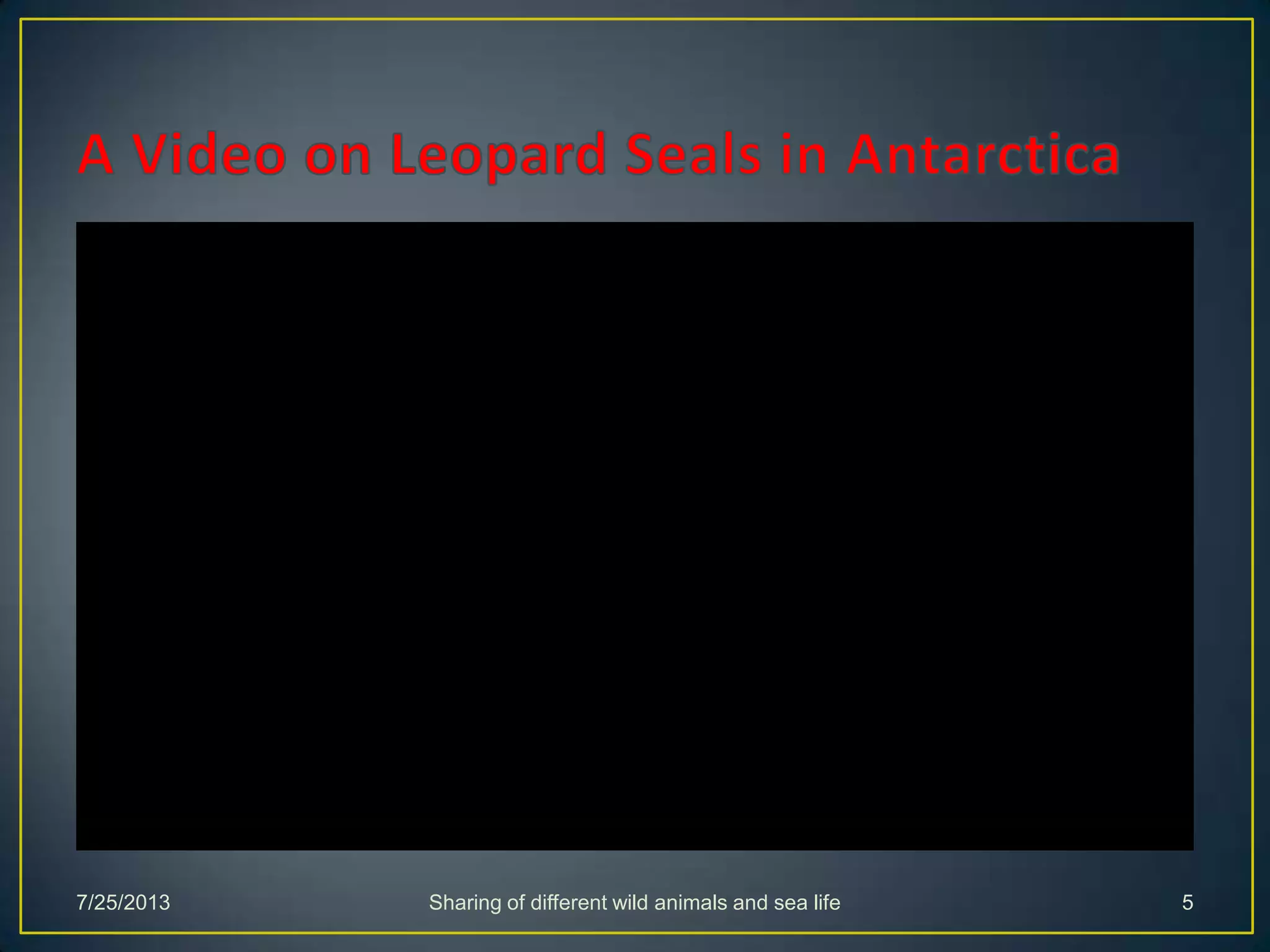 7/25/2013 Sharing of different wild animals and sea life 5
 