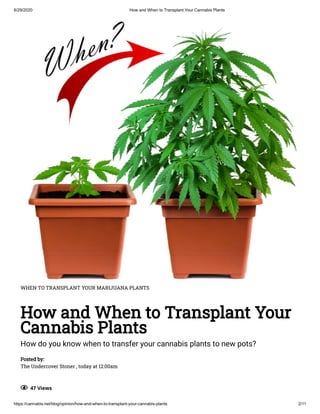 6/29/2020 How and When to Transplant Your Cannabis Plants
https://cannabis.net/blog/opinion/how-and-when-to-transplant-your-cannabis-plants 2/11
WHEN TO TRANSPLANT YOUR MARIJUANA PLANTS
How and When to Transplant Your
Cannabis Plants
How do you know when to transfer your cannabis plants to new pots?
Posted by:
The Undercover Stoner , today at 12:00am
  47 Views
 