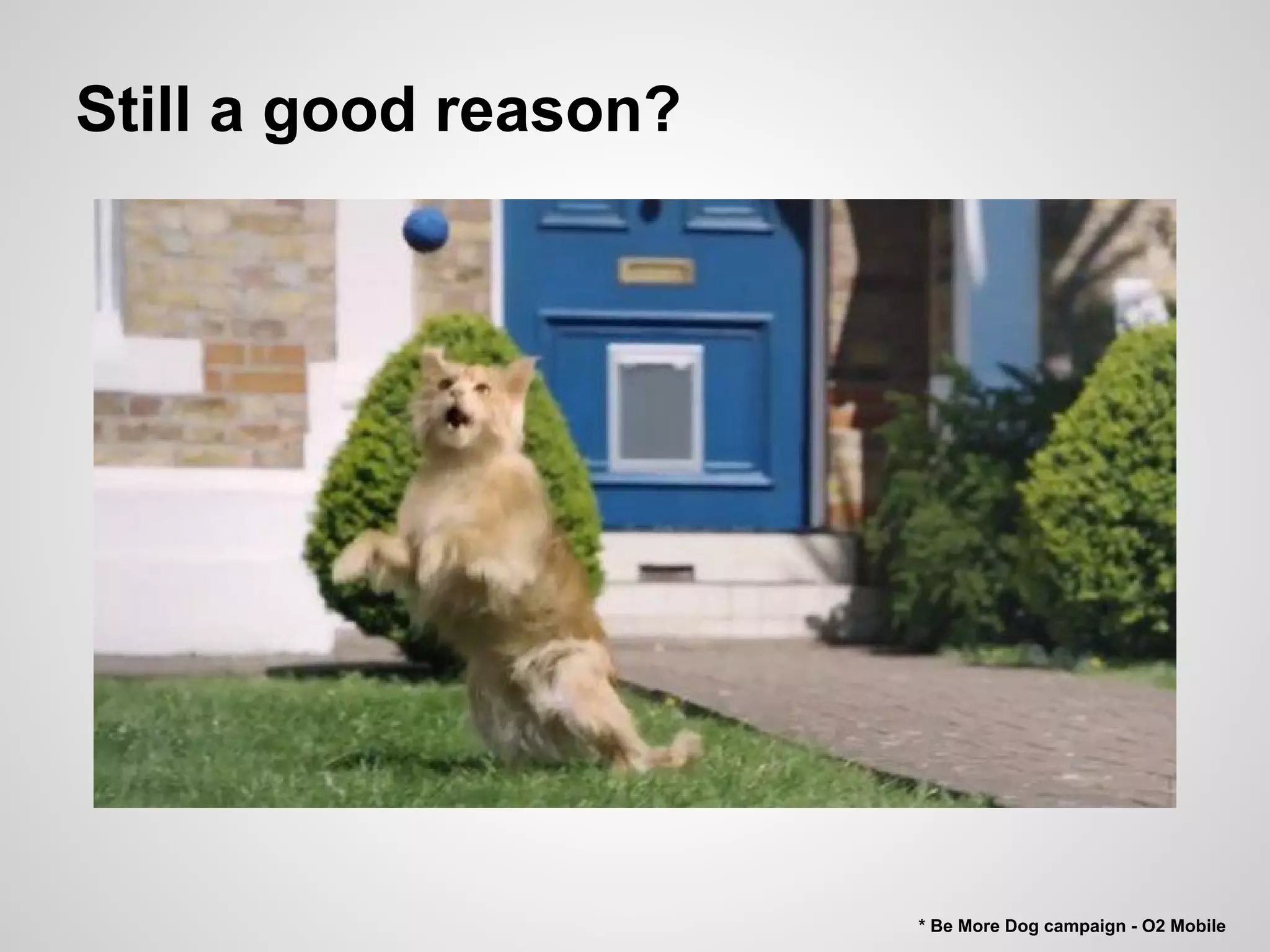Still a good reason?

* Be More Dog campaign - O2 Mobile

 