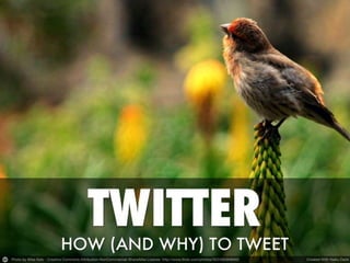How (and why) to use Twitter