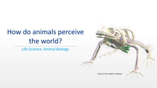 Duration: 75 min Eentary School Grade: 4 CCSS, NGSS
How do animals perceive
the world?
Life Science, Animal Biology
Click on the model to interact
 