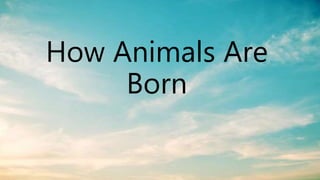 How Animals Are
Born
 