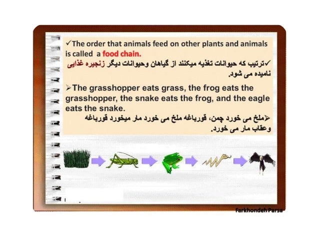 How animals get their food 15
