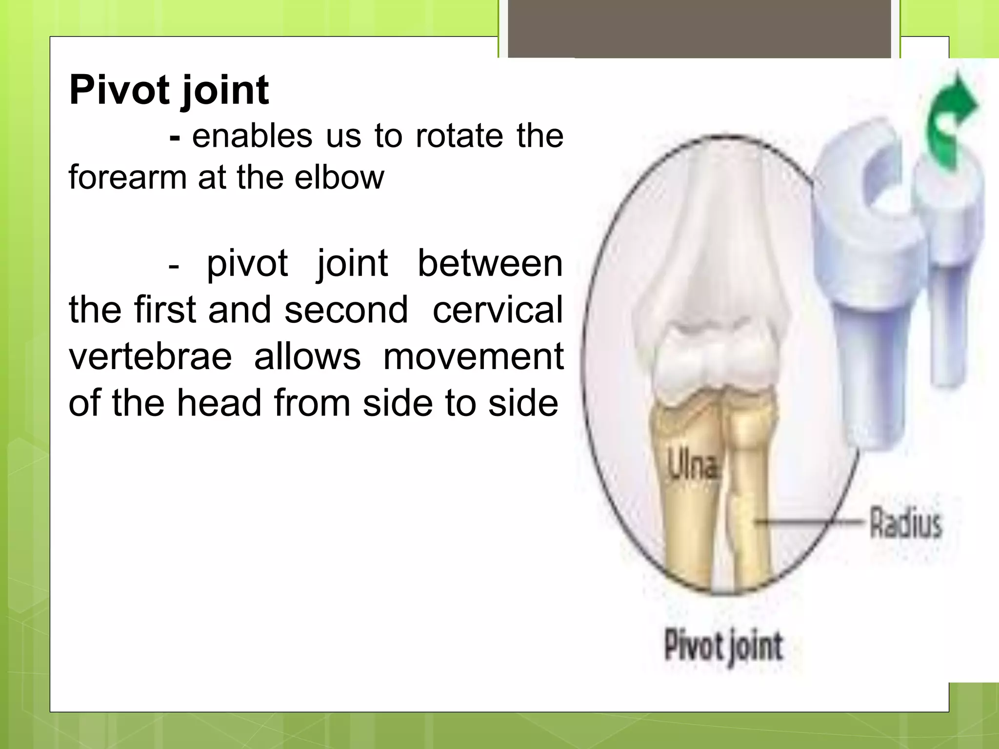  Ball –and-socket joints
- are found where the
humerus joins the pectoral
girdle
- enable us to rotate
our arms and legs and move
them in several planes.
 Hinge Joints
- permit movement in a
single plane, just as the
hinge on a door enables it to
open and close.
Pivot joint
- enables us to rotate the
forearm at the elbow
- pivot joint between
the first and second cervical
vertebrae allows movement
of the head from side to side
 