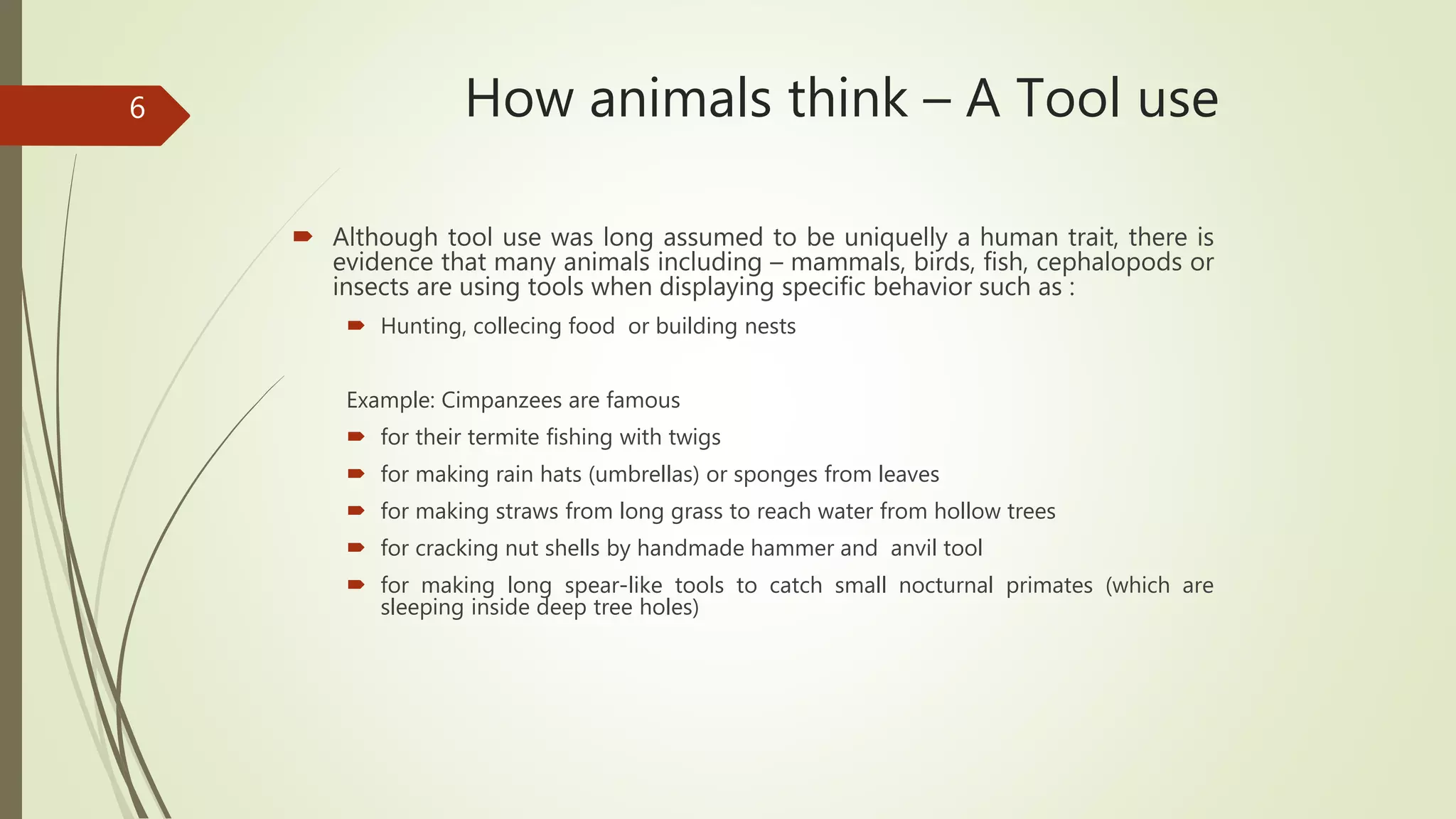 How animals think | PPT