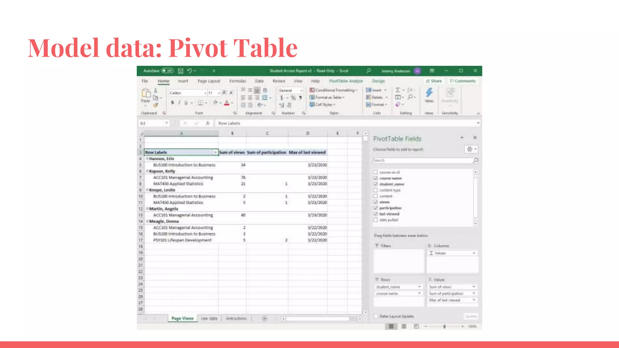 Model data: Pivot Table
 