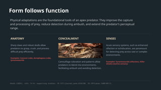 Form follows function
Physical adaptations are the foundational tools of an apex predator. They improve the capture
and processing of prey, reduce detection during ambush, and extend the predator’s perceptual
range.
ANATOMY
Sharp claws and robust skulls allow
predators to grasp, crush, and process
difficult prey efficiently.
Examples: Coconut crabs, durophagous crabs,
tyrannosaurids
CONCEALMENT
Camouflage coloration and patterns allow
predators to blend into environments,
facilitating ambush and avoiding detection.
SENSES
Acute sensory systems, such as enhanced
olfaction or echolocation, are paramount
for detecting prey across vast or complex
environments.
Examples: Tyrannosaurids (olfaction), Killer
whales (marine sensory)
Akash (2026), refs. 9–14; supporting studies: 10.1371/journal.pone.0166108, 10.1073/pnas.1600140113.
 