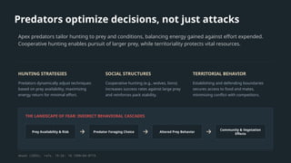 Predators optimize decisions, not just attacks
Apex predators tailor hunting to prey and conditions, balancing energy gained against effort expended.
Cooperative hunting enables pursuit of larger prey, while territoriality protects vital resources.
HUNTING STRATEGIES
Predators dynamically adjust techniques
based on prey availability, maximizing
energy return for minimal effort.
SOCIAL STRUCTURES
Cooperative hunting (e.g., wolves, lions)
increases success rates against large prey
and reinforces pack stability.
TERRITORIAL BEHAVIOR
Establishing and defending boundaries
secures access to food and mates,
minimizing conflict with competitors.
THE LANDSCAPE OF FEAR: INDIRECT BEHAVIORAL CASCADES
Prey Availability & Risk Predator Foraging Choice Altered Prey Behavior
Community & Vegetation
Effects
Akash (2026), refs. 15–26; 10.1890/04-0719.
 