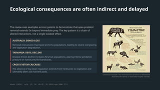 Ecological consequences are often indirect and delayed
The review uses examples across systems to demonstrate that apex-predator
removal extends far beyond immediate prey. The key pattern is a chain of
altered interactions, not a single isolated effect.
AUSTRALIA: DINGO LOSS
Removal restructures macropod and emu populations, leading to severe overgrazing
and vegetation degradation.
TASMANIA: DEVIL DECLINE
Disease-driven decline increases feral cat populations, placing intense predation
pressure on native prey like bandicoots.
CROSS-SYSTEM CASCADES
The absence of top-down regulation extends from herbivores to vegetation and
ultimately alters soil nutrient pools.
Contextual example: The reintroduction of wolves to Yellowstone
illustrates the reverse, a restorative trophic cascade.
Akash (2026), refs. 25, 34, 48–52; 10.1098/rspb.2006.3711.
 