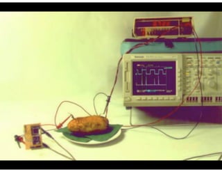 Synchronous vs Asynchronous Digital Circuits as an Analogy to Organizational Dysfunction Applied to DevOps Practices