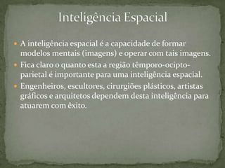  A inteligência espacial é a capacidade de formar
modelos mentais (imagens) e operar com tais imagens.
 Fica claro o quanto esta a região têmporo-ocipto-
parietal é importante para uma inteligência espacial.
 Engenheiros, escultores, cirurgiões plásticos, artistas
gráficos e arquitetos dependem desta inteligência para
atuarem com êxito.
 