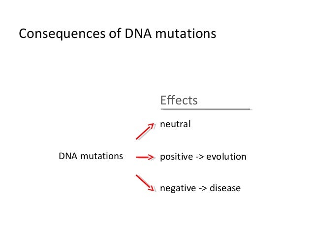 an introduction to the positive and negative effects of dna profiling Free coursework on the positive and negative effects of dna profiling from essayukcom, the uk essays company for essay, dissertation and coursework writing. an introduction to the positive and negative effects of dna profiling Free coursework on the positive and negative effects of dna profiling from essayukcom, the uk essays company for essay, dissertation and coursework writing.