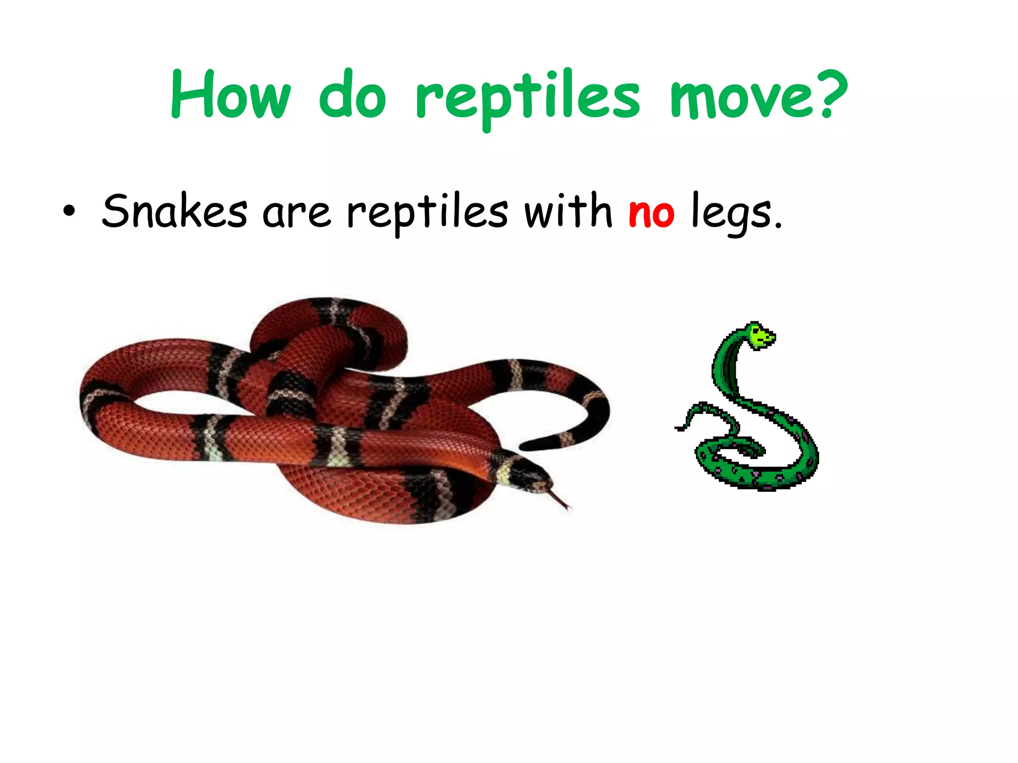 How do reptiles move?
• Snakes are reptiles with no legs.
 