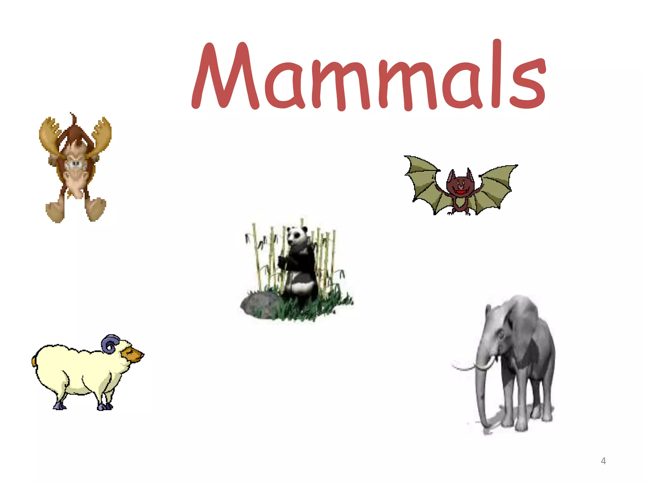4
Mammals
 