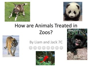 How are Animals Treated in
         Zoos?
     By Liam and Jack 7C
     
 