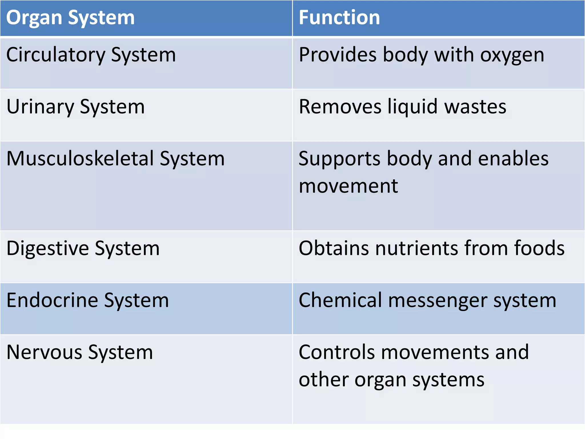 Organ System             Function
Circulatory System       Provides body with oxygen

Urinary System           Removes liquid wastes

Musculoskeletal System   Supports body and enables
                         movement

Digestive System         Obtains nutrients from foods

Endocrine System         Chemical messenger system

Nervous System           Controls movements and
                         other organ systems
 