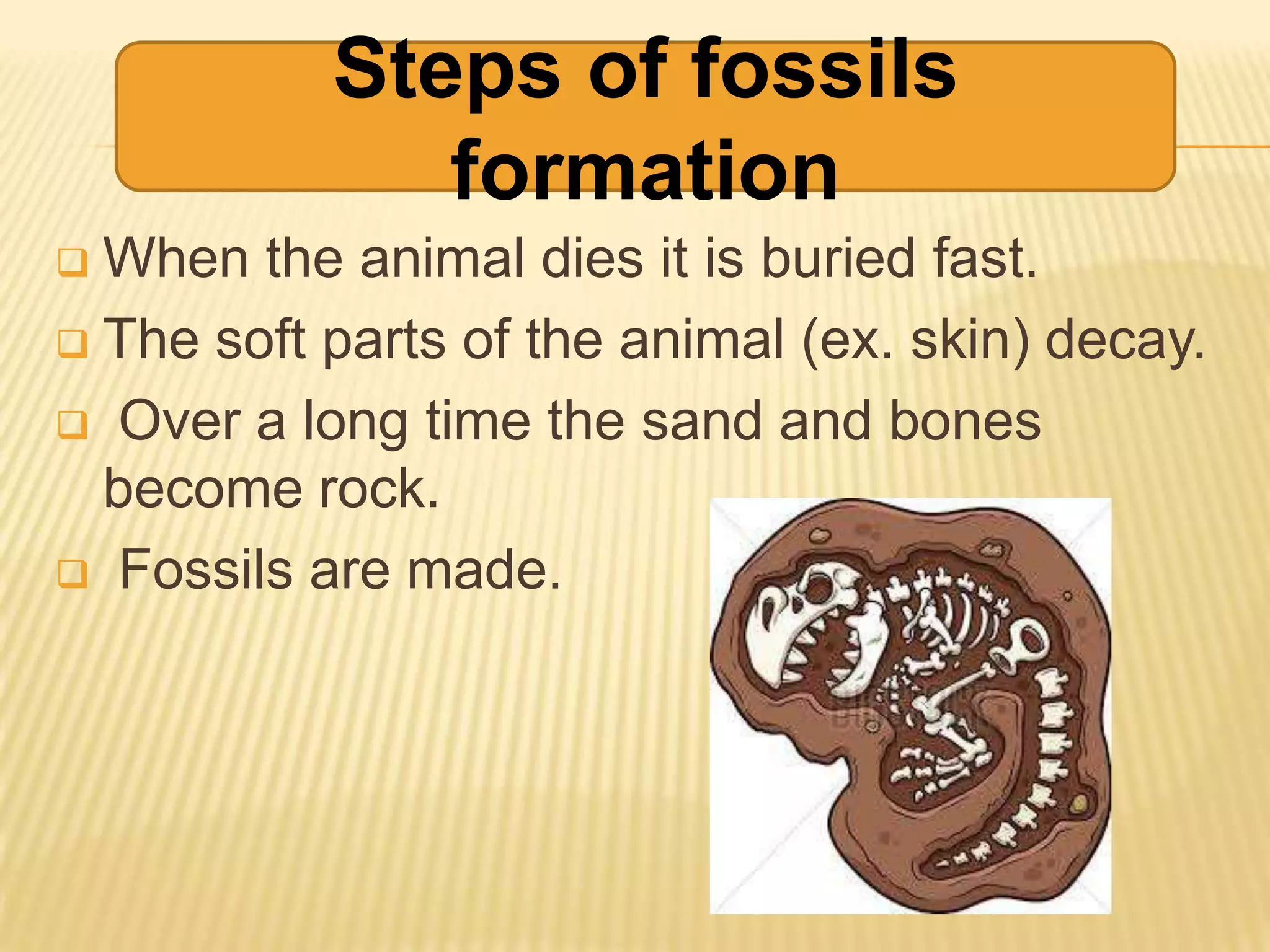 How are fossils & energy related | PPTX