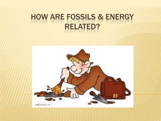 HOW ARE FOSSILS & ENERGY
RELATED?

 