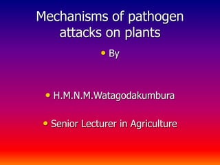 Mechanisms of pathogen
attacks on plants
• By
• H.M.N.M.Watagodakumbura
• Senior Lecturer in Agriculture
 
