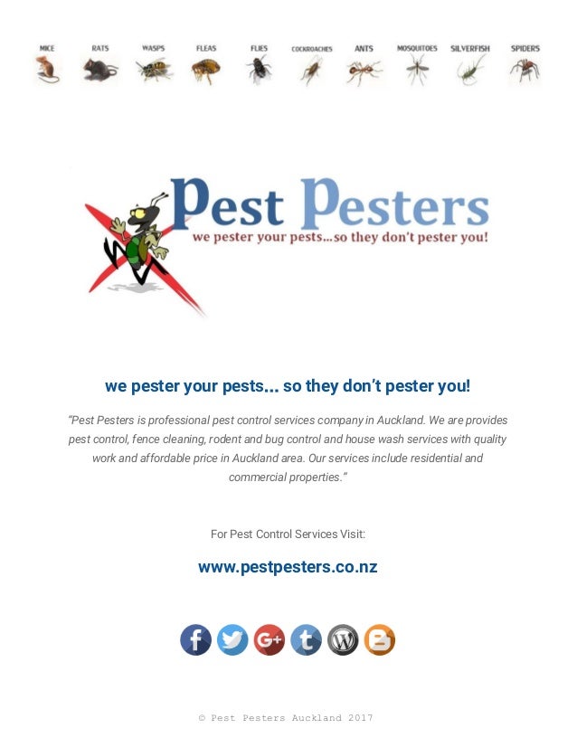How Auckland Pest Control Protect Your City Safe and Healthy