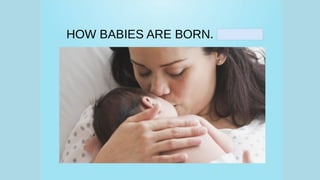 How babies are born edit.pdf