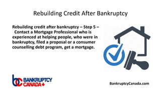 How Bankruptcy Works