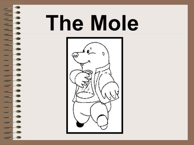 How Big Is A Mole | PPT | Free Download