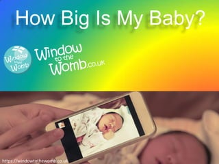 How Big Is My Baby?
https://windowtothewomb.co.uk
 