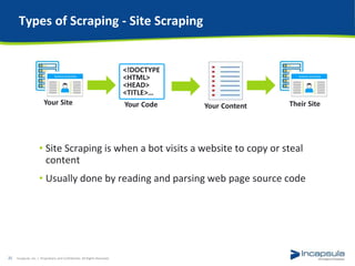 Understanding Web Bots and How They Hurt Your Business