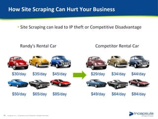 Understanding Web Bots and How They Hurt Your Business