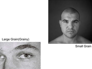 Small Grain Large Grain(Grainy) 