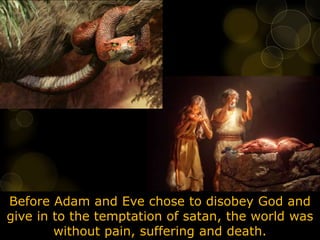 Before Adam and Eve chose to disobey God and
give in to the temptation of satan, the world was
without pain, suffering and death.
 
