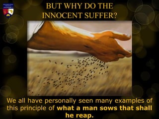 BUT WHY DO THE
INNOCENT SUFFER?
We all have personally seen many examples of
this principle of what a man sows that shall
he reap.
 