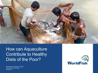How can Aquaculture
Contribute to Healthy
Diets of the Poor?
Shakuntala Haraksingh Thilsted
Senior Nutrition Scientist
WorldFish
 