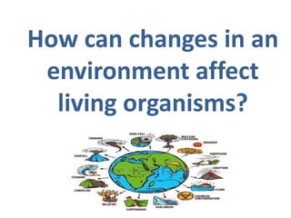 How can changes in an
environment affect
living organisms?
 