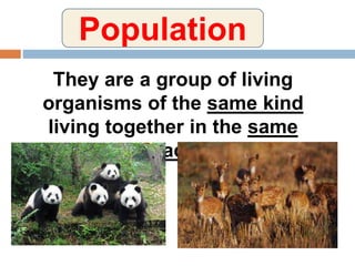 Population
They are a group of living
organisms of the same kind
living together in the same
place.
 