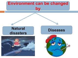 Environment can be changed
by
Natural
disasters
Diseases
 