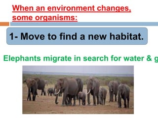 When an environment changes,
some organisms:
1- Move to find a new habitat.
Elephants migrate in search for water & g
 
