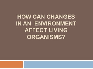 HOW CAN CHANGES
IN AN ENVIRONMENT
AFFECT LIVING
ORGANISMS?
 