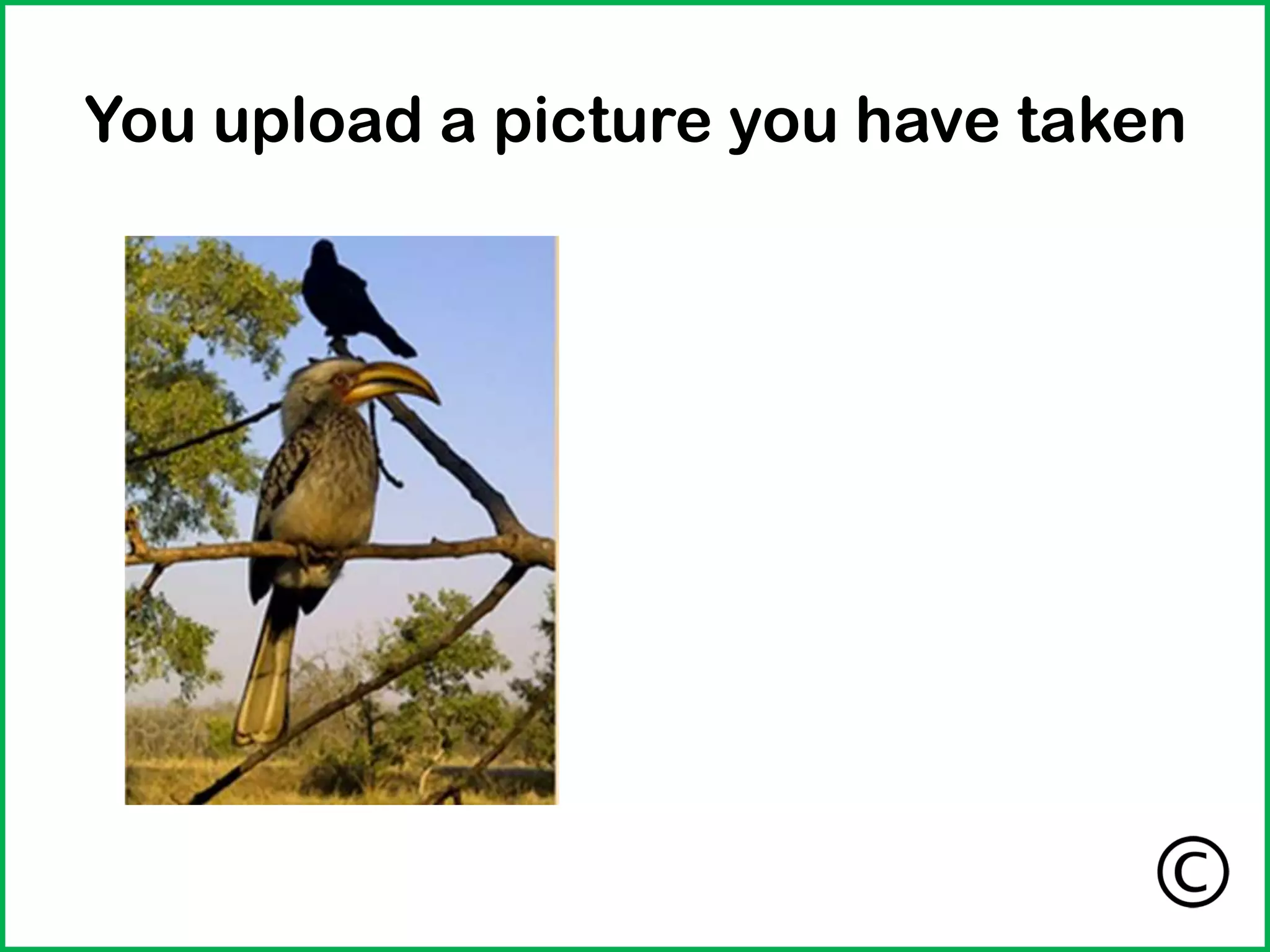 You upload a picture you have taken
 