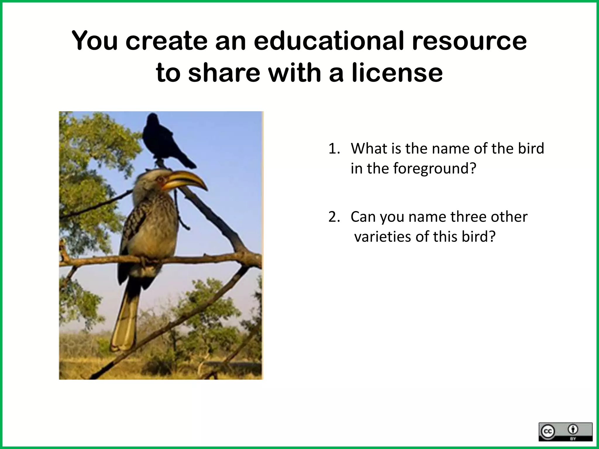 You create an educational resource
to share with a license
1. What is the name of the bird
in the foreground?
2. Can you name three other
varieties of this bird?
 
