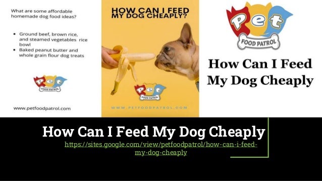 How Can I Feed My Dog Cheaply
https://sites.google.com/view/petfoodpatrol/how-can-i-feed-
my-dog-cheaply
 