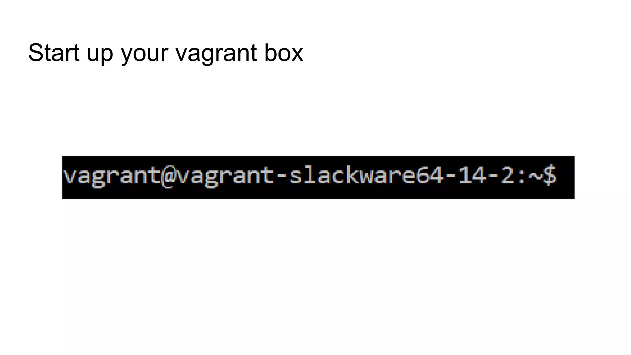 Start up your vagrant box