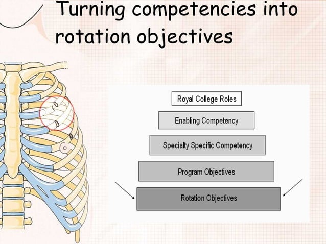 How CanMed Roles Become Rotation Objectives | PPT