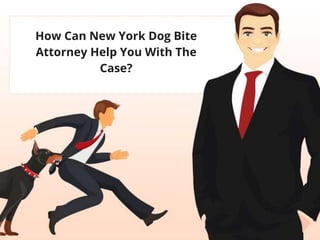 How Can New York Dog Bite
Attorney Help You With The
Case?
 