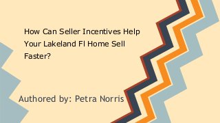 How Can Seller Incentives Help
Your Lakeland Fl Home Sell
Faster?
Authored by: Petra Norris
 