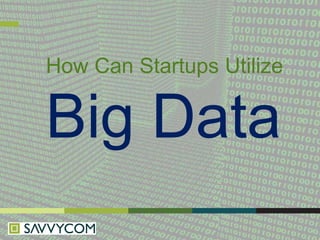 How Can Startups Utilize

Big Data

 